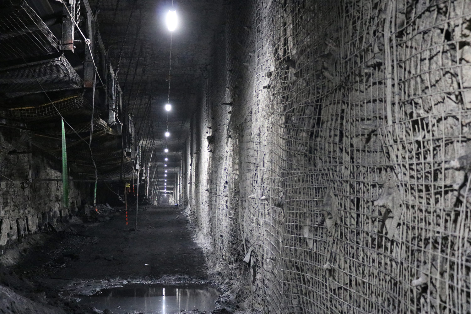 Lighting - Specialised Engineering Technologies